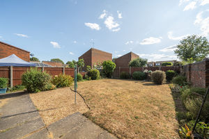 Back Garden- click for photo gallery